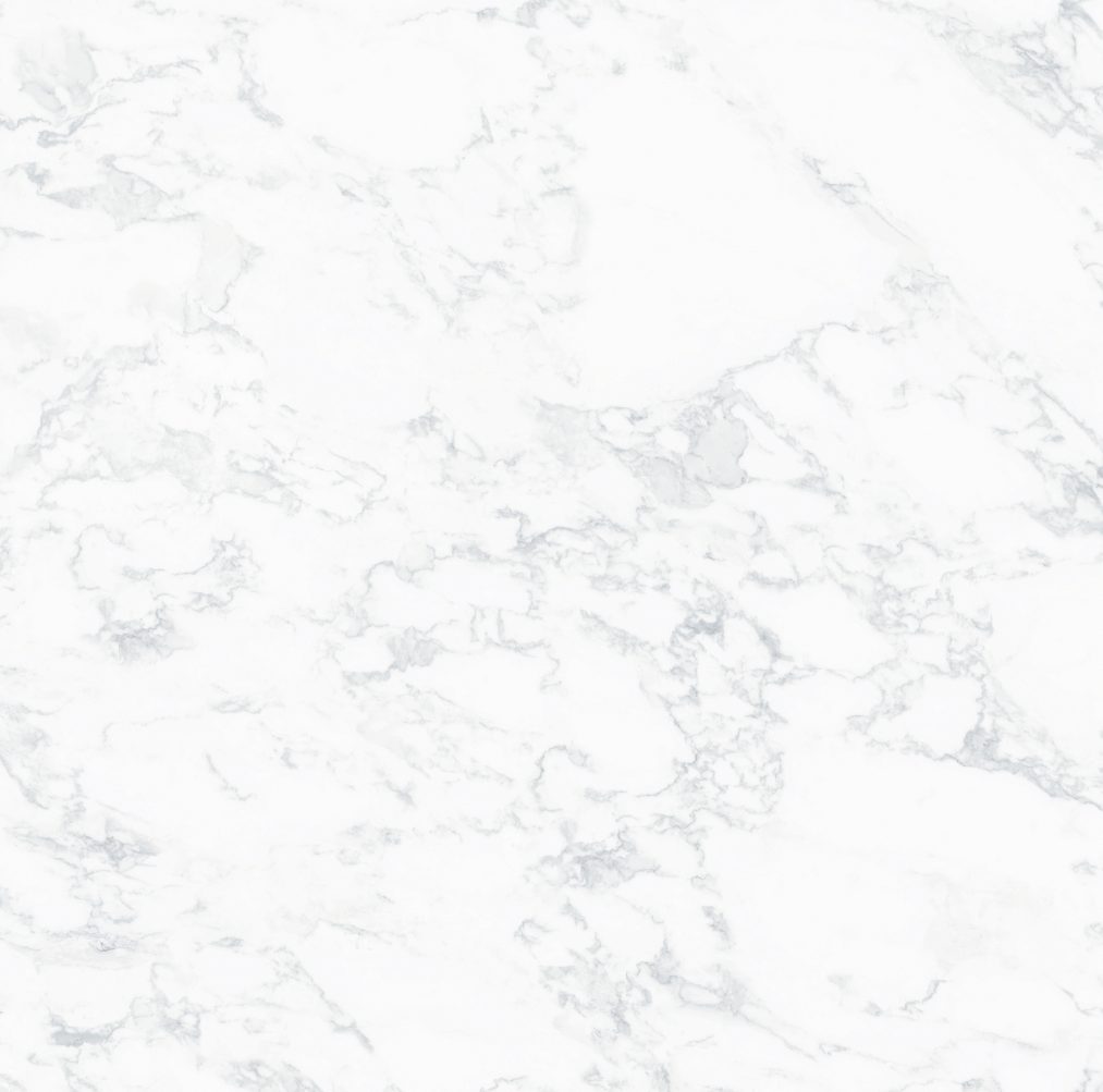carrara copy